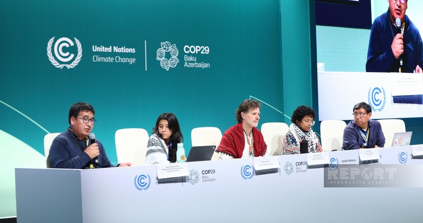 COP29-da Latın Amerikası ölkələrində iqlim dəyişikliyi problemi müzakirə edilib