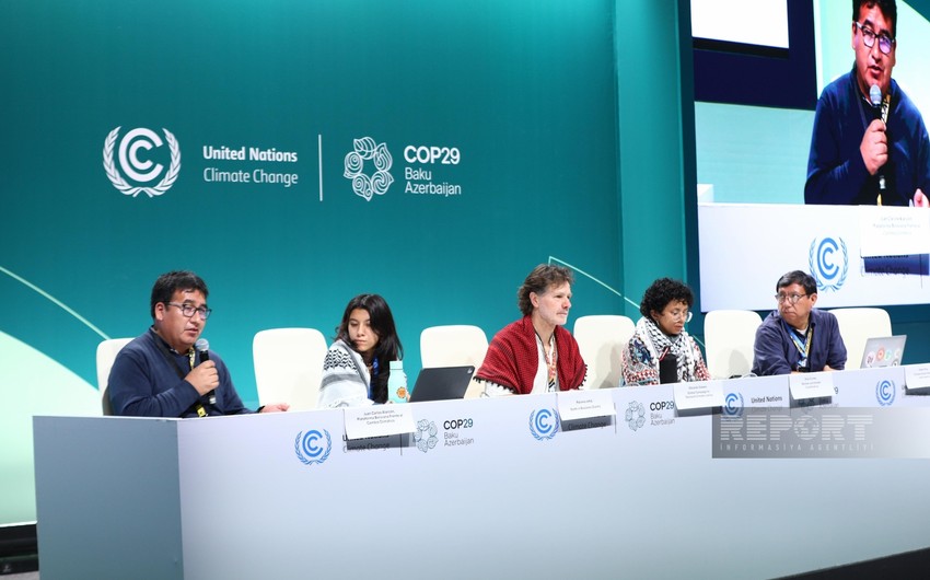 COP29-da Latın Amerikası ölkələrində iqlim dəyişikliyi problemi müzakirə edilib