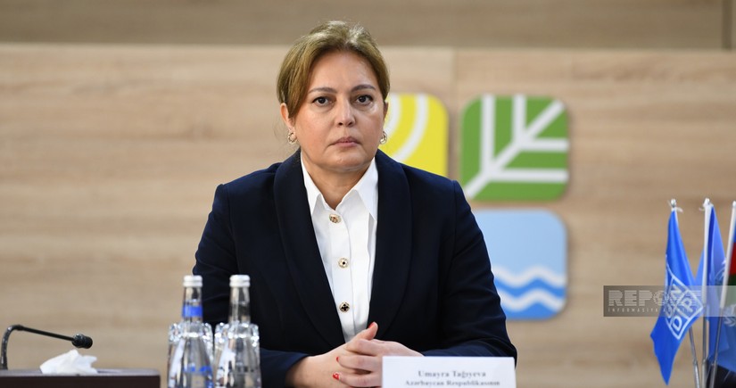 Umayra Taghiyeva: Climate finance agreement should be reached at COP29