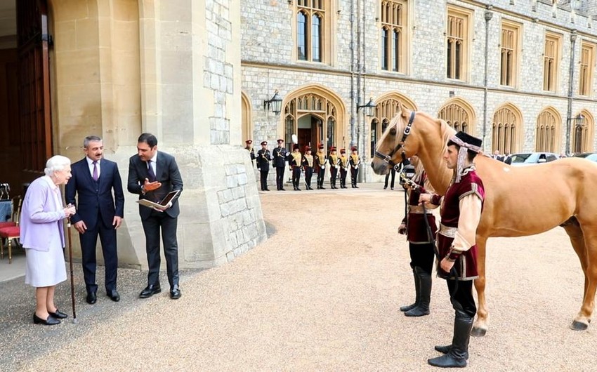 Karabakh horse sent by President Ilham Aliyev to British Queen presented at Windsor Castle