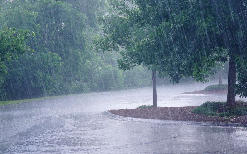 Rain, strong wind expected in Baku tomorrow