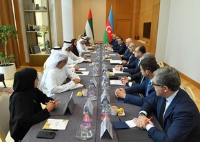 Azerbaijan, UAE mull investment projects in green energy