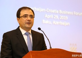 Nazir müavini: Azərbaycan və Çin avtomobil şinlərinin birgə istehsalı ilə bağlı danışıqlar aparır