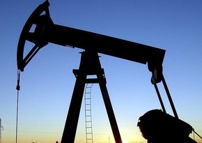 Япония начала дополнительную продажу нефтяных резервов для стабилизации цен