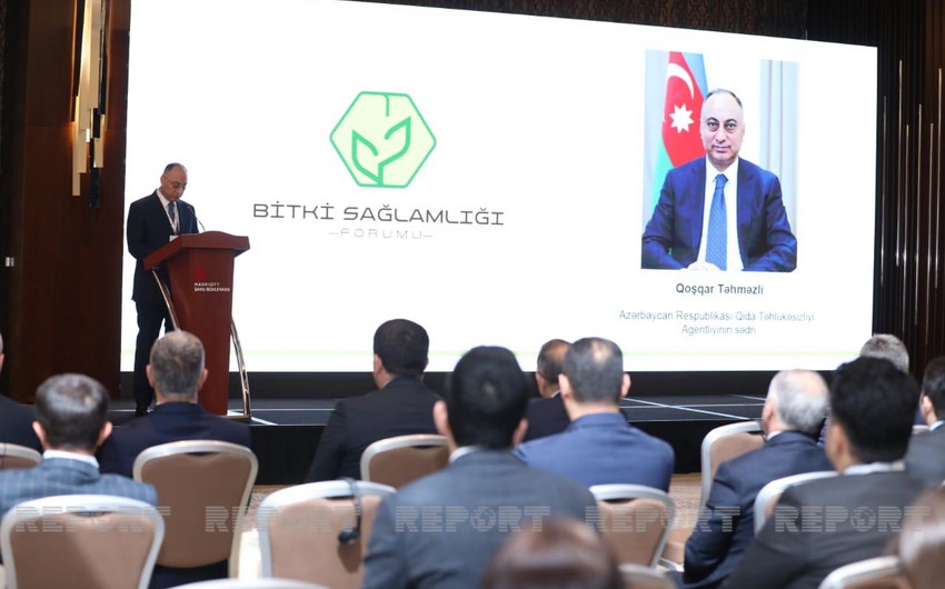 В Баку впервые проходит форум, посвященный здоровью растений