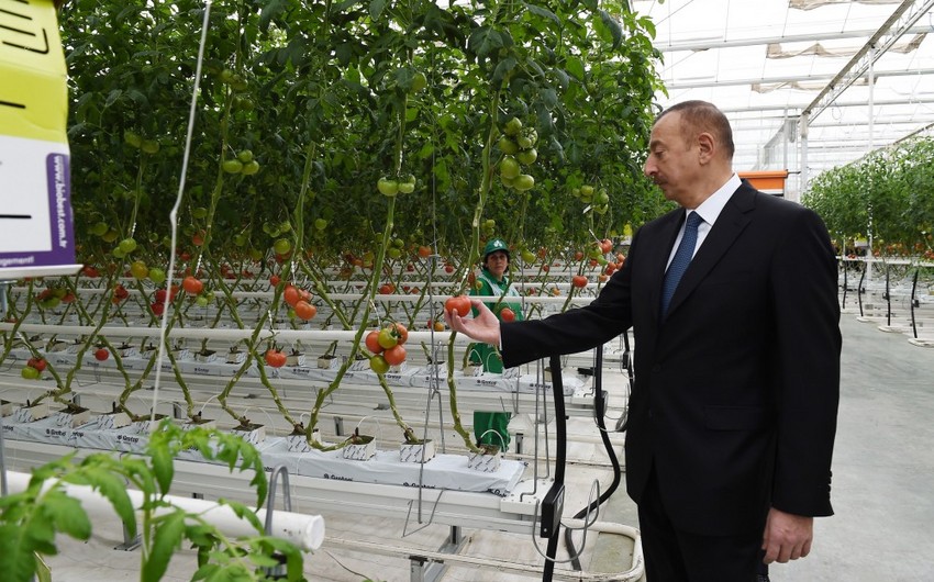President Ilham Aliyev views works carried out in Baku Agropark in Zira settlement