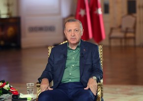 Erdogan calls wildfires international threat