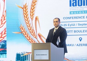 Minister: Azerbaijan saw over 2-fold rise in grain production in 1991-2023 