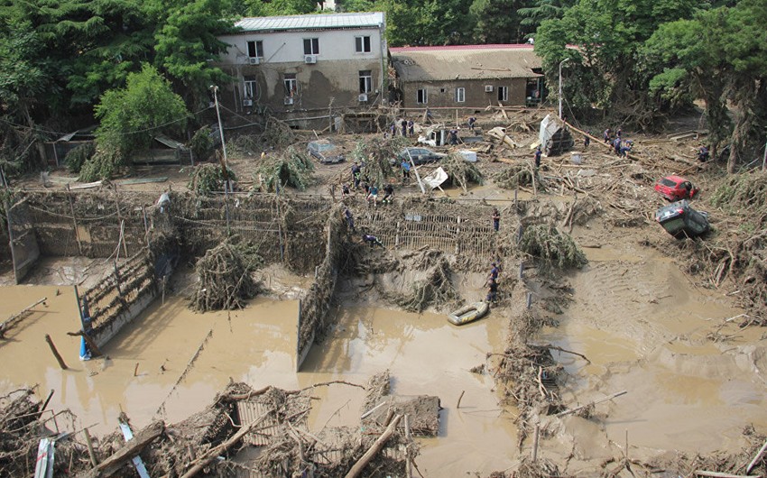 Пострадавший от наводнения​ тбилисский зоопарк откроется в сентябре