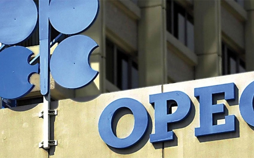​OPEC: Qlobal neft istehlakı artacaq