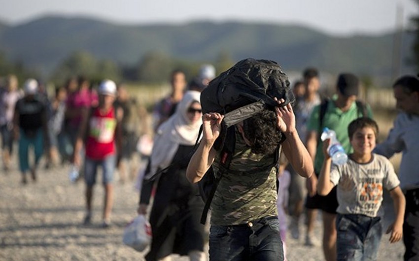 ​В Хорватию прибыли уже более 82 тыс. мигрантов