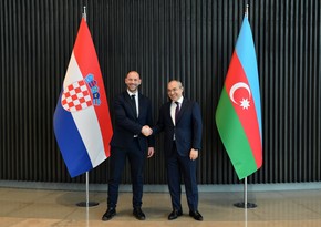 Azerbaijan, Croatia mull cooperation in alternative energy