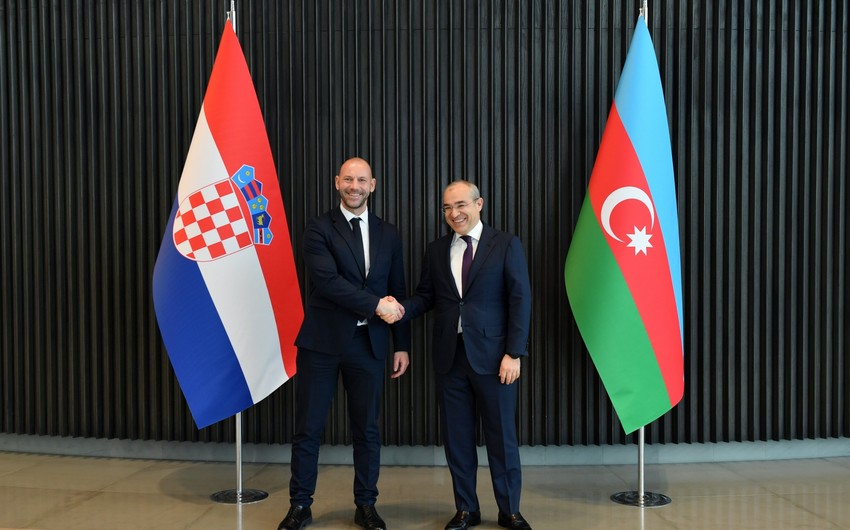 Азербайджан и Хорватия обсудили сотрудничество в сфере альтернативной энергетики