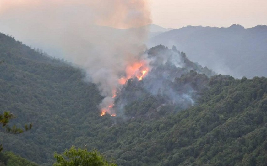 Qubadakı yanğına görə bir nəfər məsuliyyətə cəlb edilib