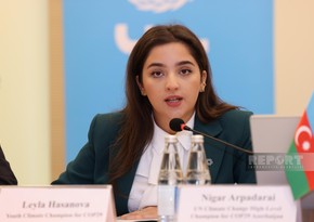 COP29 youth climate champion: Climate change agenda begins to take shape 