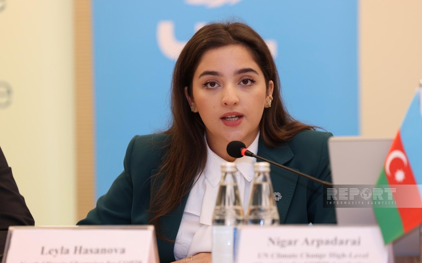 COP29 youth climate champion: Climate change agenda begins to take shape 