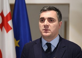 Глава МИД Грузии представил план по дальнейшей евроинтеграции