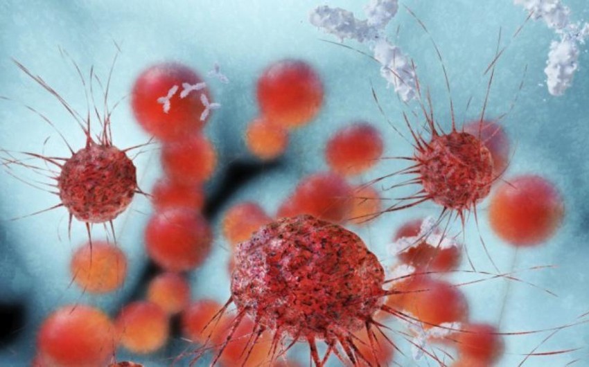 WHO: Last year about 10 million people died of cancer in the world