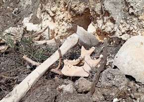 Анализы ДНК будут взяты со всех останков, найденных в селе Фаррух