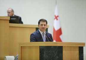 Gürcüstan parlamentinin keçmiş sədri vitse-spiker seçildi