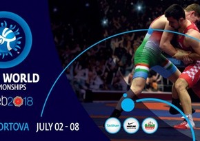 Azerbaijan's teen wrestlers win eight medals in world championship