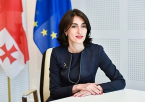 Gürcüstan parlamentinin komitə sədri: Xarici agentlər” haqqında qanunun qəbulu vacibdir