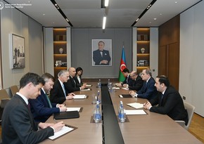 Глава МИД Азербайджана проинформировал Луи Боно о мирных переговорах с Арменией