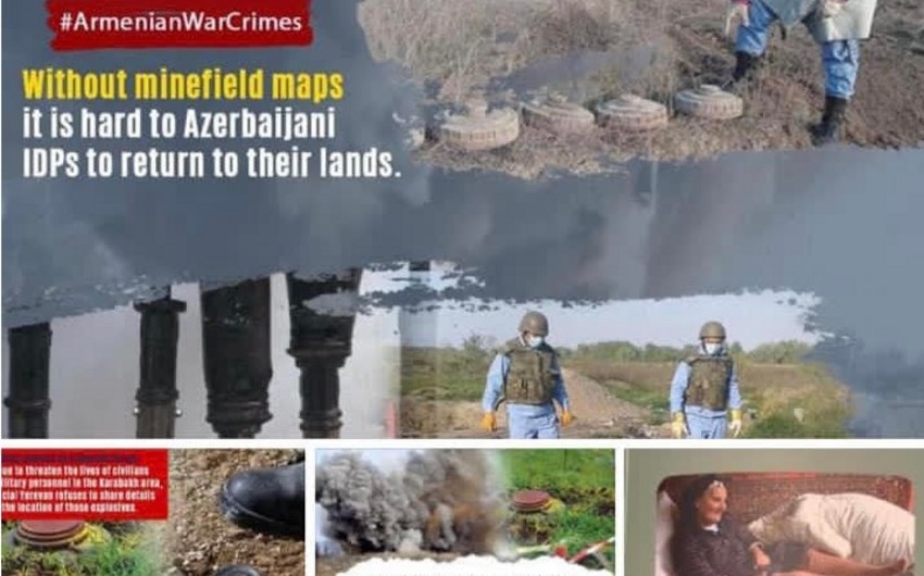 Центр дружбы Азербайджан-Япония распространил заявление в связи с т.н. «геноцидом армян»