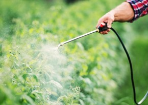 Azerbaijan resumes pesticide supplies from two countries