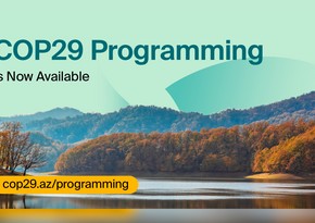 Стали известны детали программы мероприятий на COP29