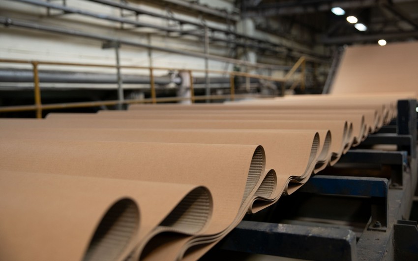 Cardboard paper manufacturing with investment value of $11.8M being established in Azerbaijan