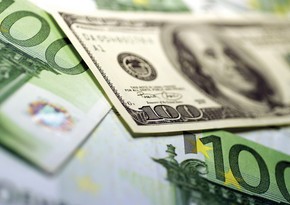 Report experts: Euro decline will lead to strengthening of US-dollar