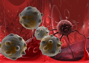 Alimlər immuniteti gücləndirən virus aşkarlayıblar