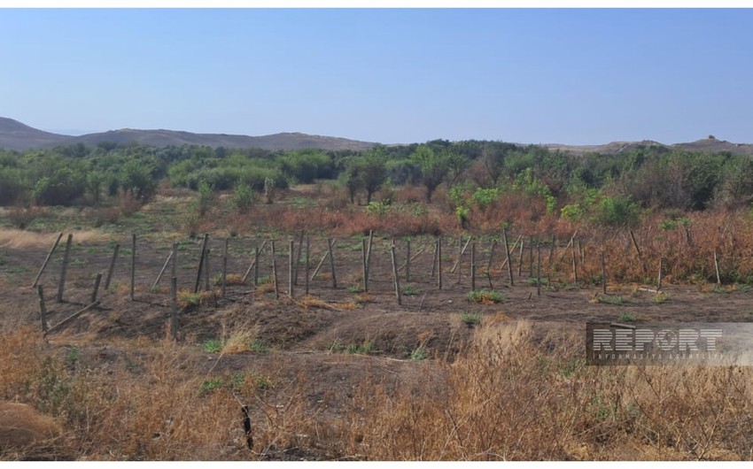 ANAMA: Over 161,000 hectares of land in Karabakh, East Zangazur were cleared of mines