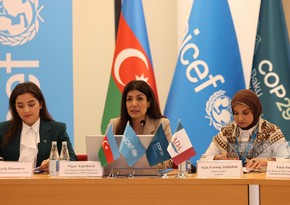 Baku hosts discussions on impact of climate change on children