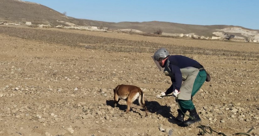 US Marshall Legacy Institute speeds up demining in Azerbaijan