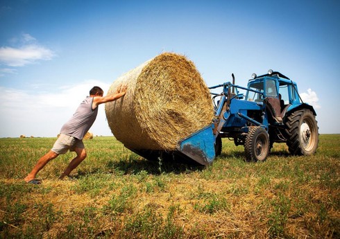 Внереализационные доходы и субсидии в аграрном секторе освободят от НДС