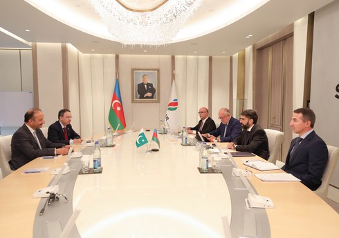 Госминистр нефти Пакистана выразил поддержку территориальной целостности Азербайджана