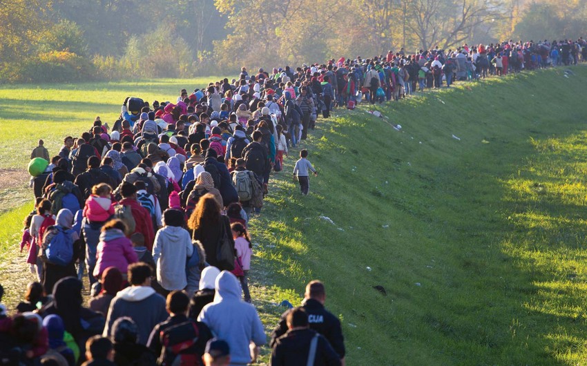 Litvadan böyük miqrant qrupu İraqa yola düşüb