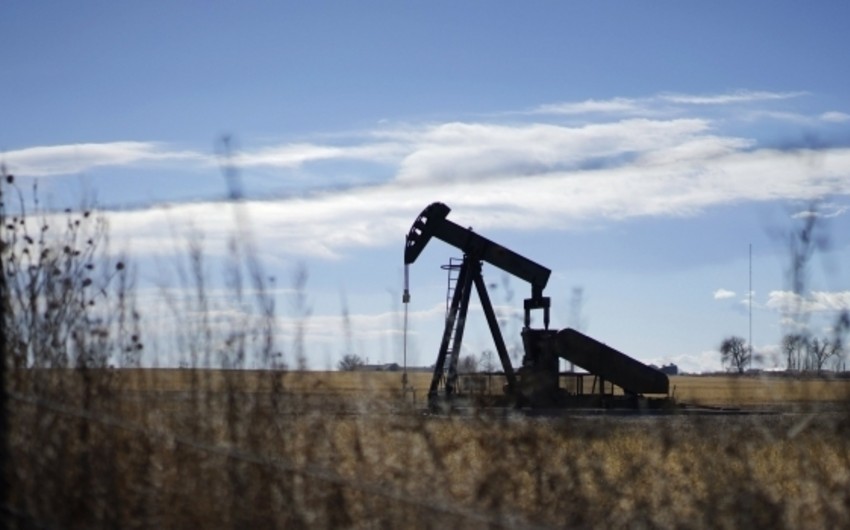 Представитель ОПЕК: Нефть больше не будет продаваться за 100 долларов за баррель