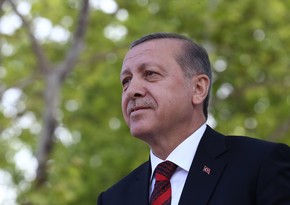 Эрдоган посетит США для участия в саммите НАТО