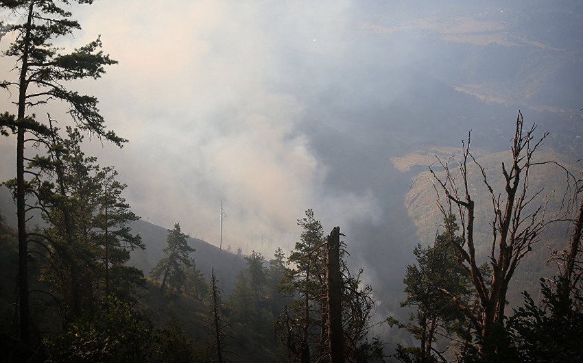 Пожары вспыхнули еще в двух регионах Грузии