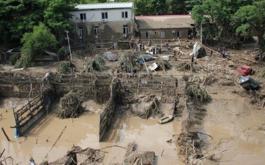 Тбилисский зоопарк: Змеи не покидали экзотариум после наводнения