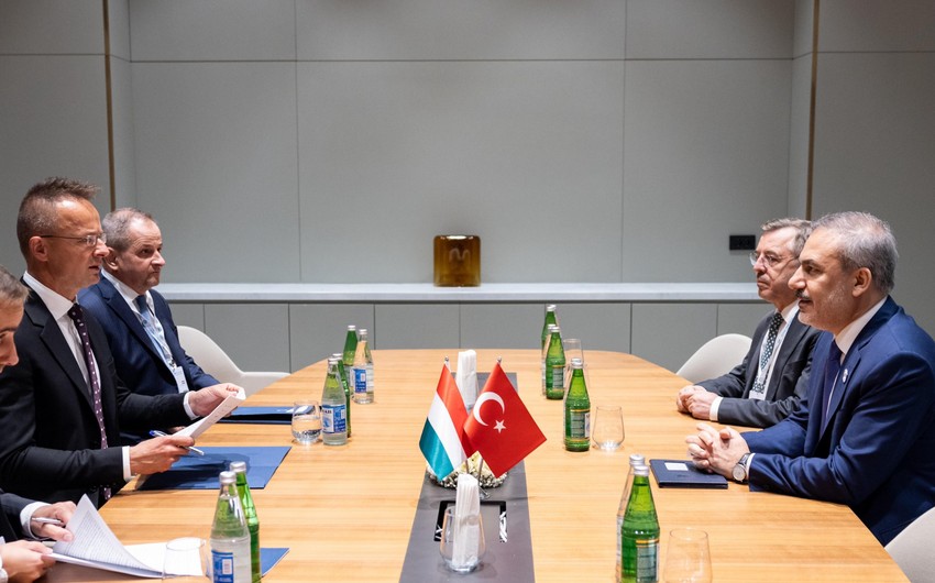 Turkish, Hungarian FMs meet in Shusha