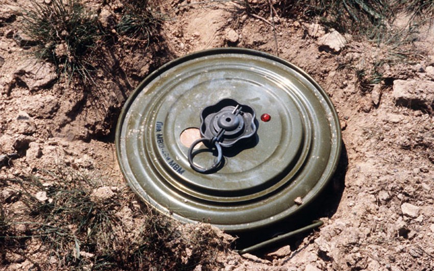 38 mines found in liberated territories last week