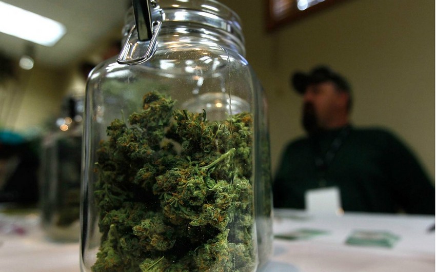 Пять американских штатов голосуют за легализацию марихуаны