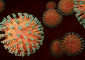 В Чехии выявили первый случай заражения подвидом омикрон-штамма коронавируса ХЕ