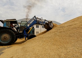 Azerbaijan imports 245 tons of fodder for domestic animals from Tver 