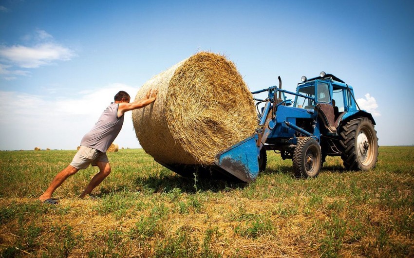 Глава USAID о проектах по поддержке фермеров в Азербайджане