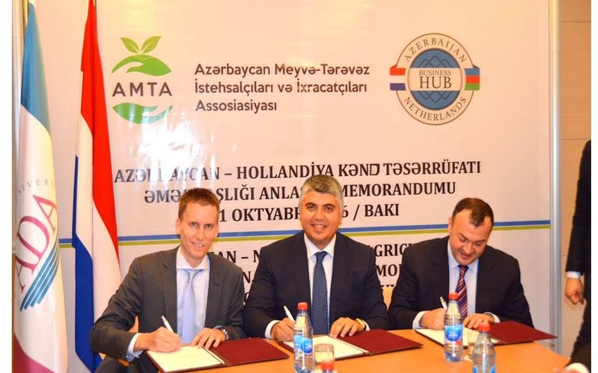 Azərbaycan və Hollandiya arasında kənd təsərrüfatına dair anlaşma memorandumu imzalanıb